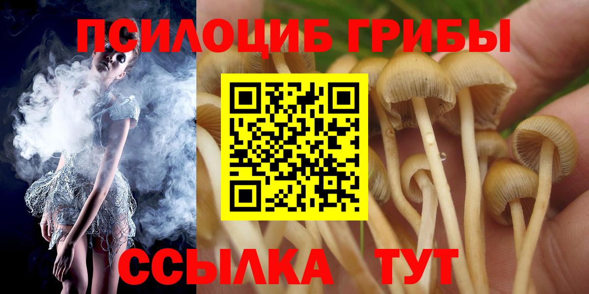 Галлюциногенные грибы GOLDEN TEACHER  Вход с VPN  Лесозаводск  Псилоцибиновые грибы GOLDEN TEACHER 