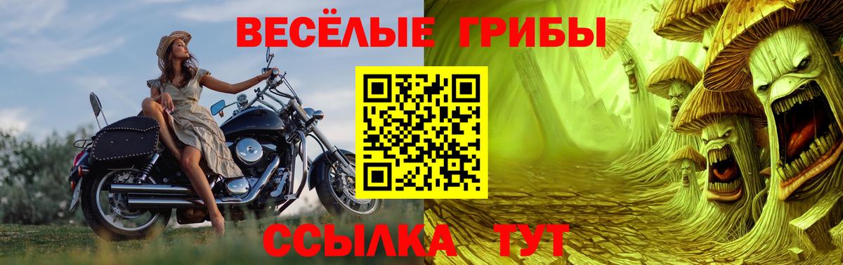 Псилоцибиновые грибы ЛСД Лесозаводск